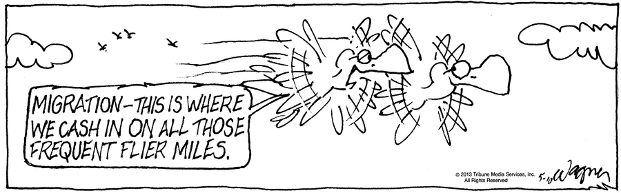 animalcrackers